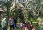 Polisi Mediasi Konflik Antara Suku Anak Dalam Dengan Warga Di Dharmasraya, Sepakat Hentikan Pengambilan Hasil Kebun Tanpa Izin